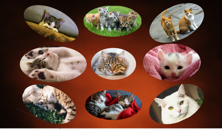 Dinasset.Montage all Layers.Cats.Layer Play.jpg
