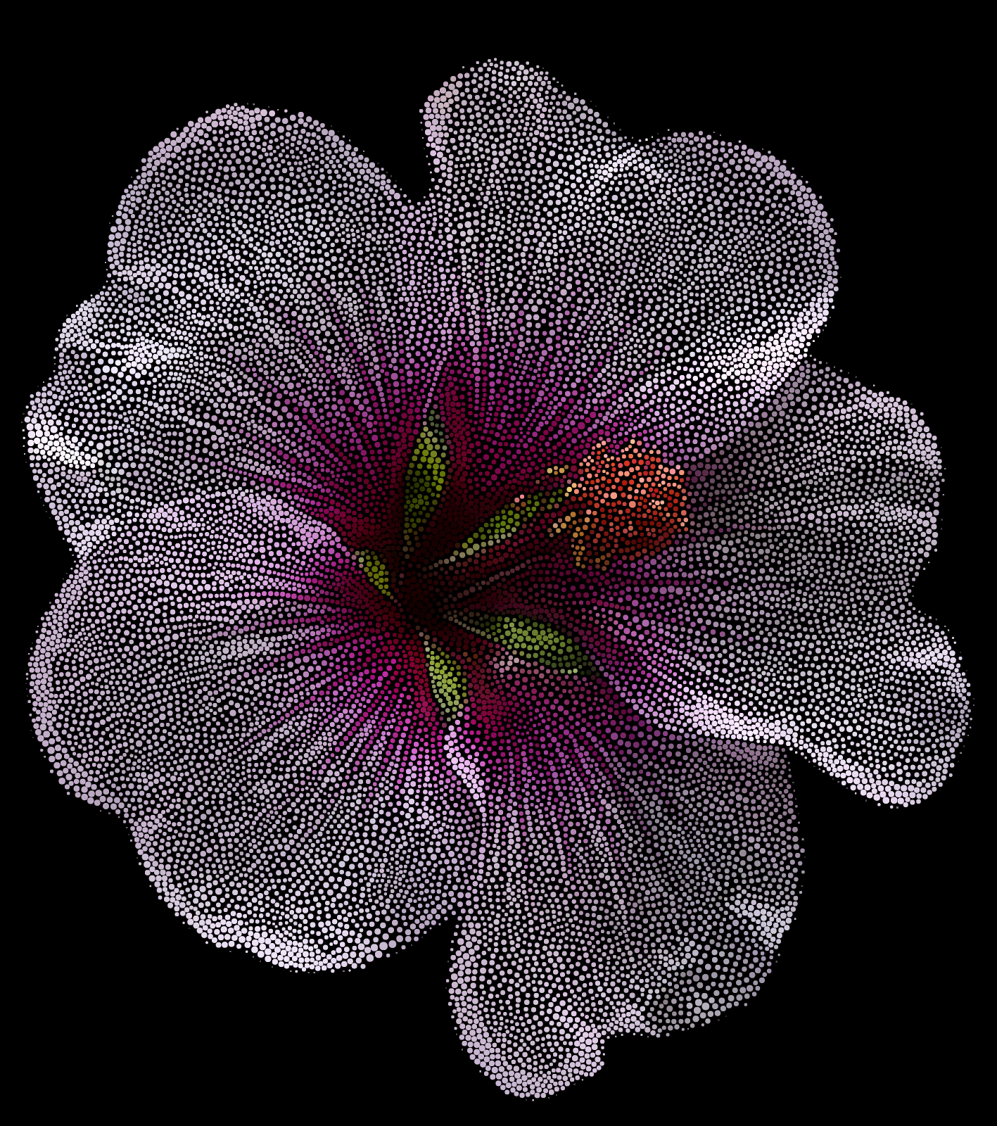 fp030407-t.png