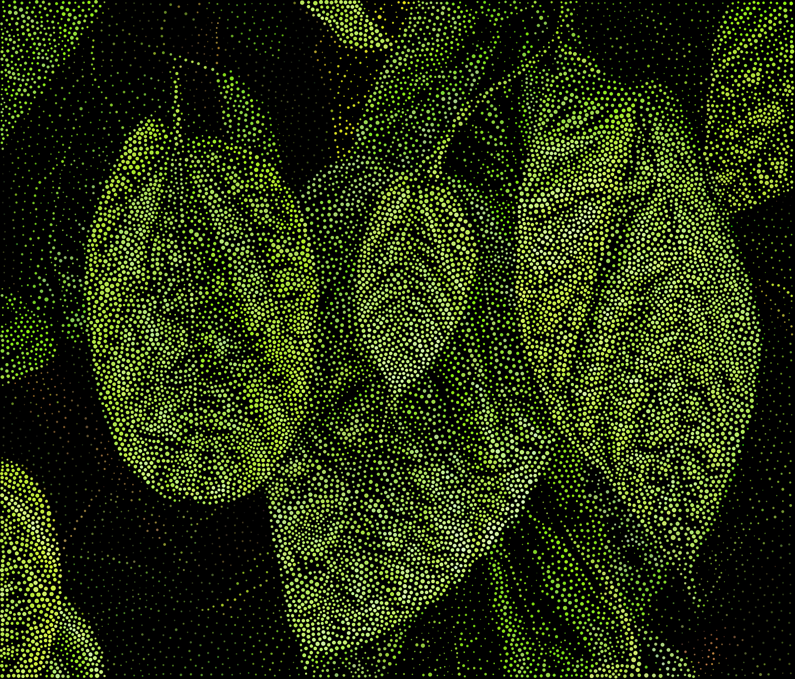 fpfreefoto-676.png