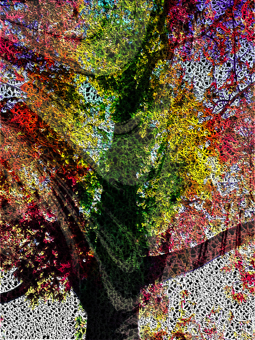 12202_DN_CPCrochet_F.jpg