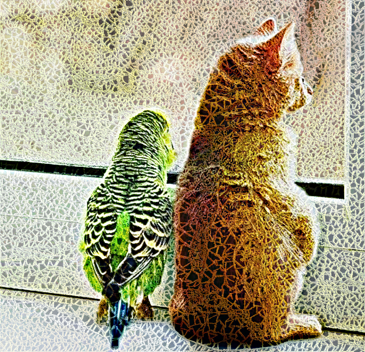 Dinasset.CPC.CatParakeet.jpg