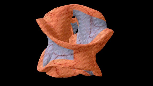 test.gif