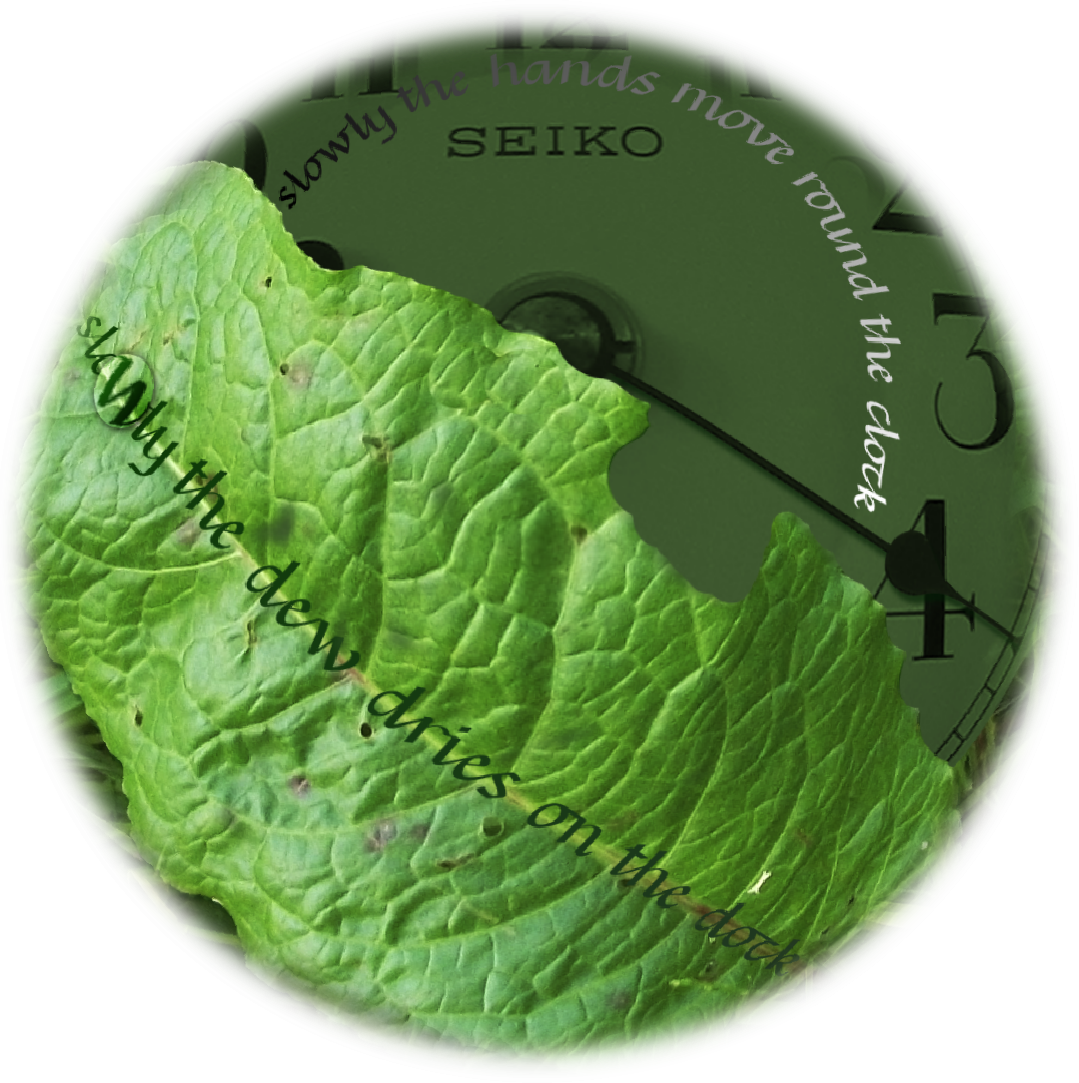 Slowly_Dock_Clock_Lens2.png