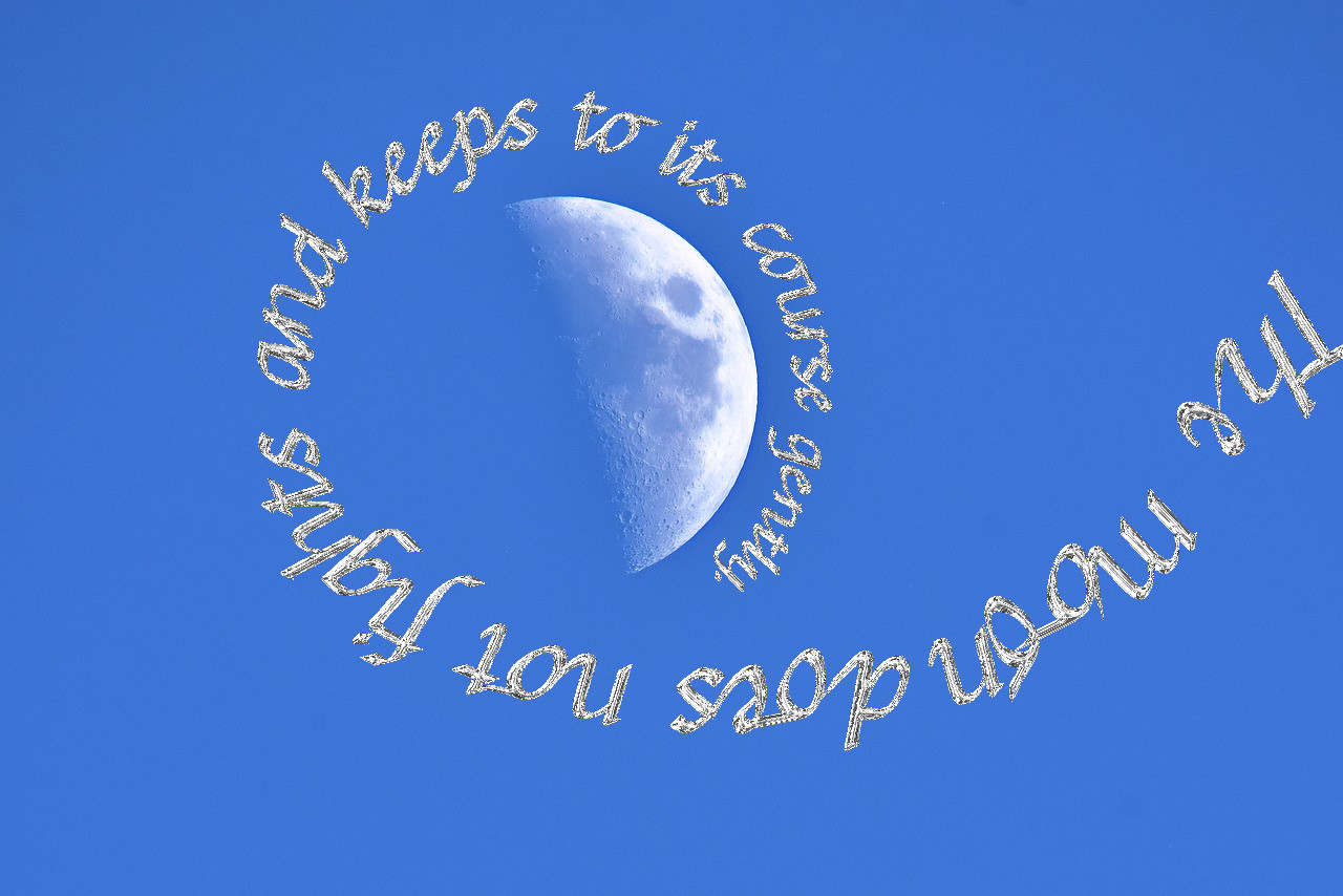 moon-2279198_Skinnyhouse_Text_Join-up_Issa.jpg