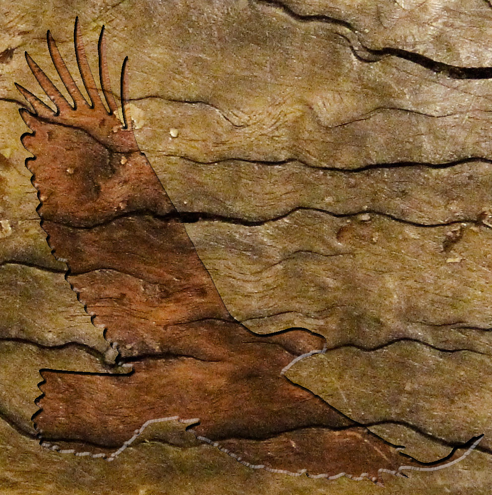 woodcarve.jpg