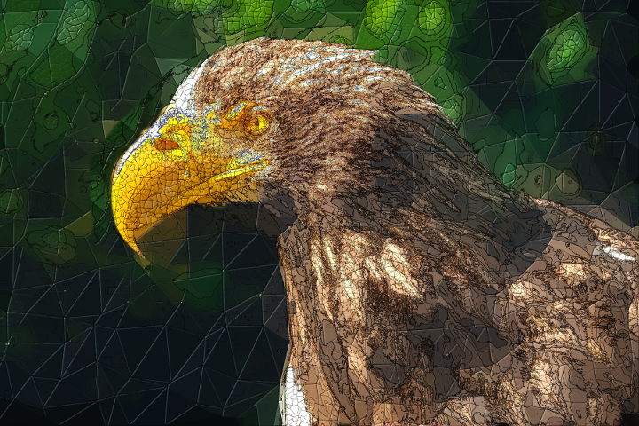 Dinasset.Multi.Mosaic.Raptor.jpg