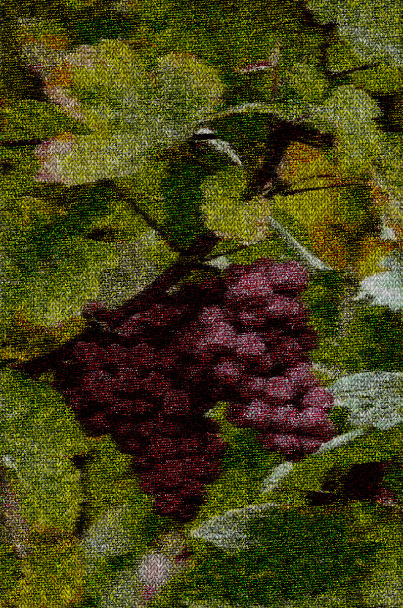 f7d254be6dd_DN_PlainKnittedLook.jpg