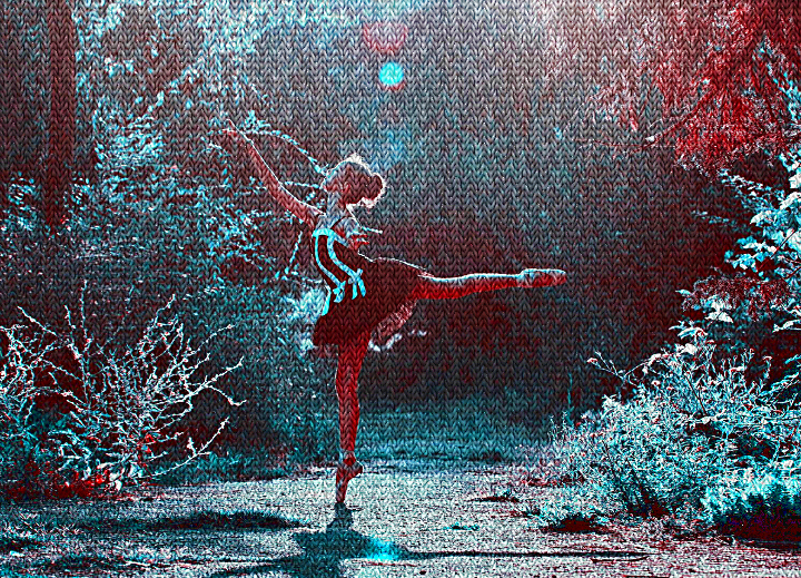 Dinasset.Knitted.Ballet Dancer.jpg