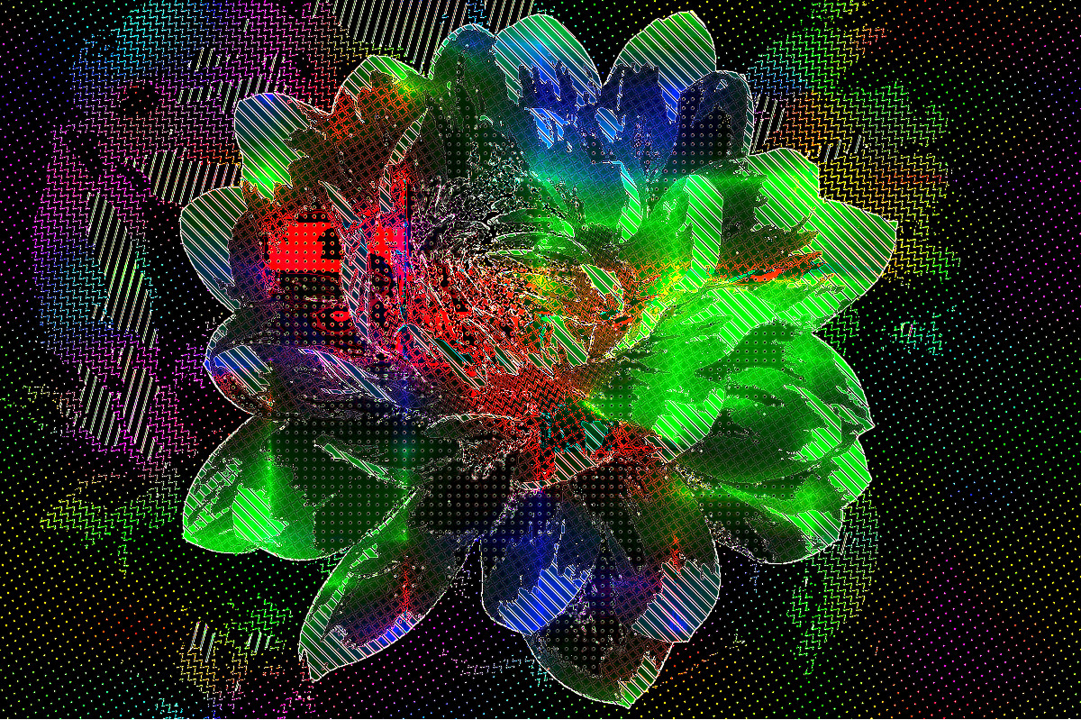 dahlia-1624455_DN_AutoHatch+DrawOnDark.jpg