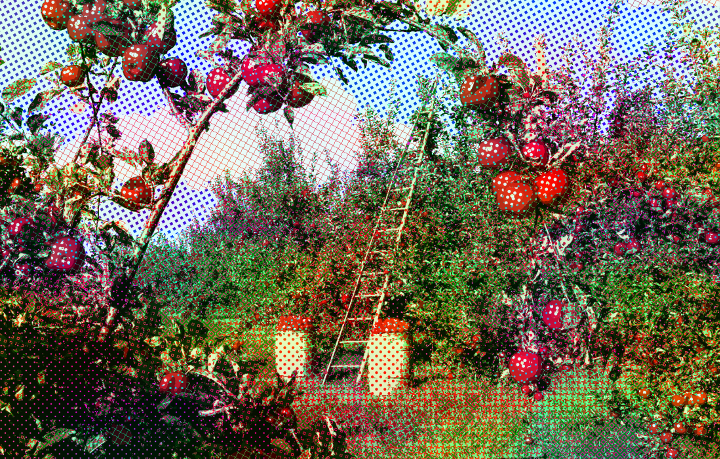 Dinasset.AutoHatch 2nd Ver.Orchard.jpg