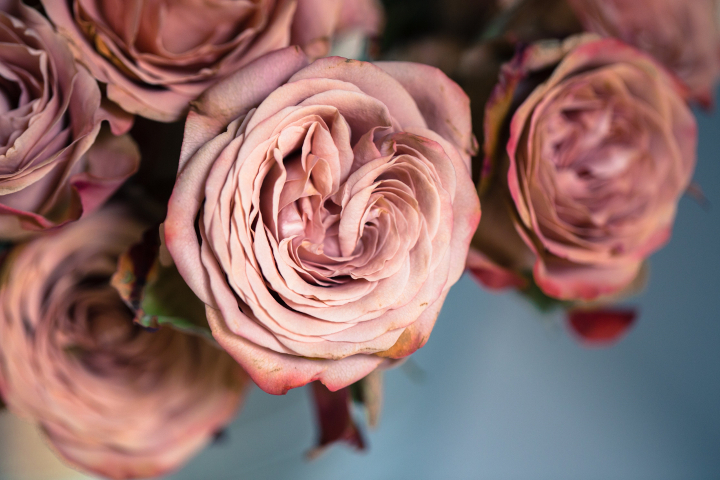 Flowers.Orig.jpg