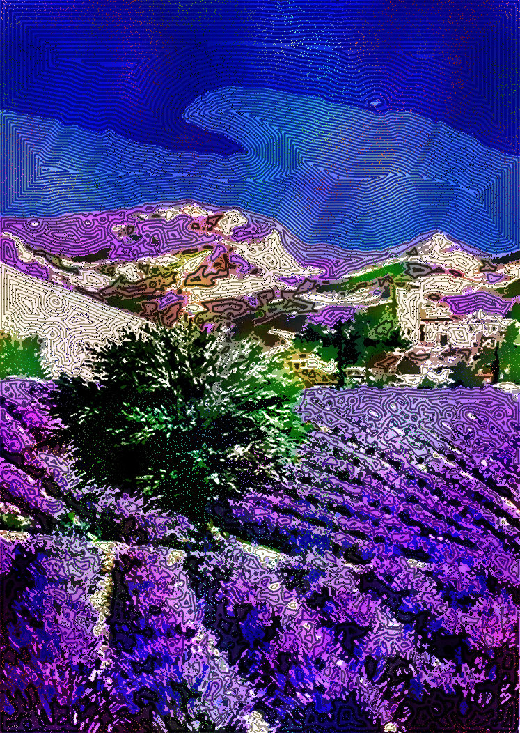 Lavande_683d7c44702_DN_FakeVoronoi_L.jpg