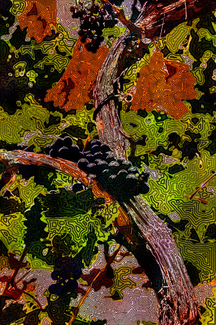 8d719c93220d557_DN_FakeVoronoi_L.jpg