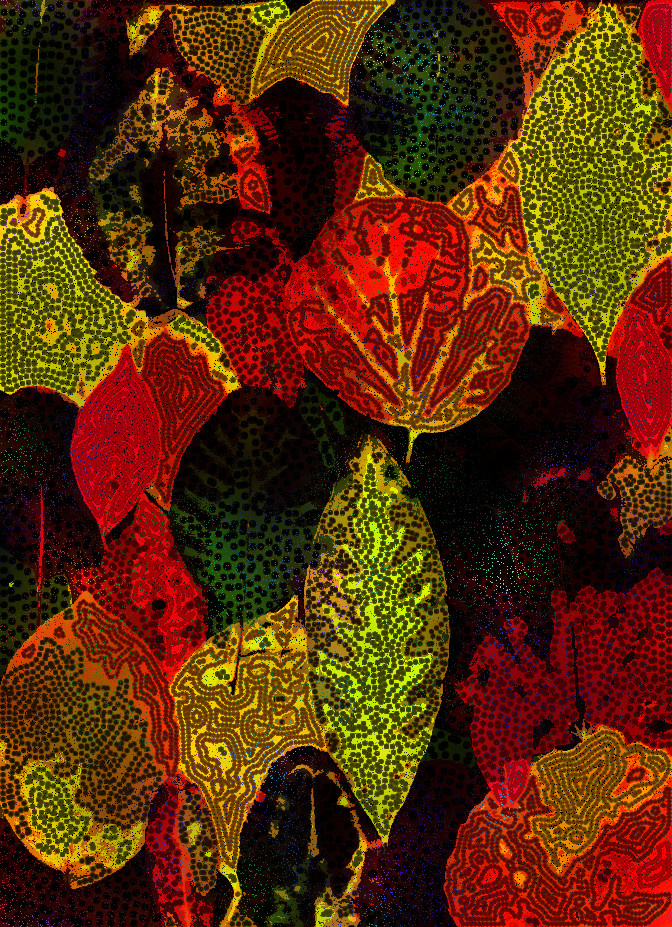 9c7587cc3_DN_FakeVoronoi_D.jpg