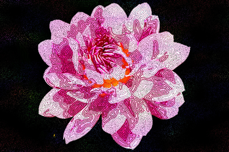 dahlia-1624455_DN_FakeVoronoi_L.jpg