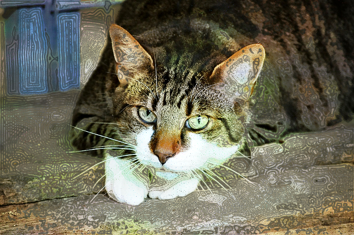 Dinasset.Fake Voronoi.Cat.jpg