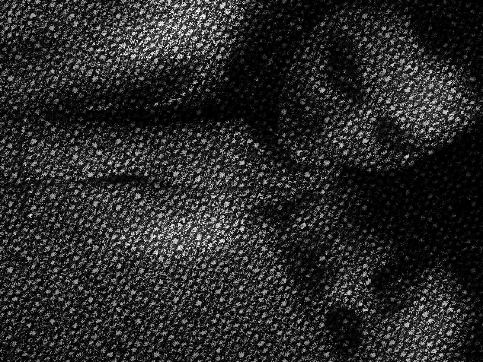 2017-11-26 07-24-24a19_by_willow32 as a stroked drawing (grayscale).jpg