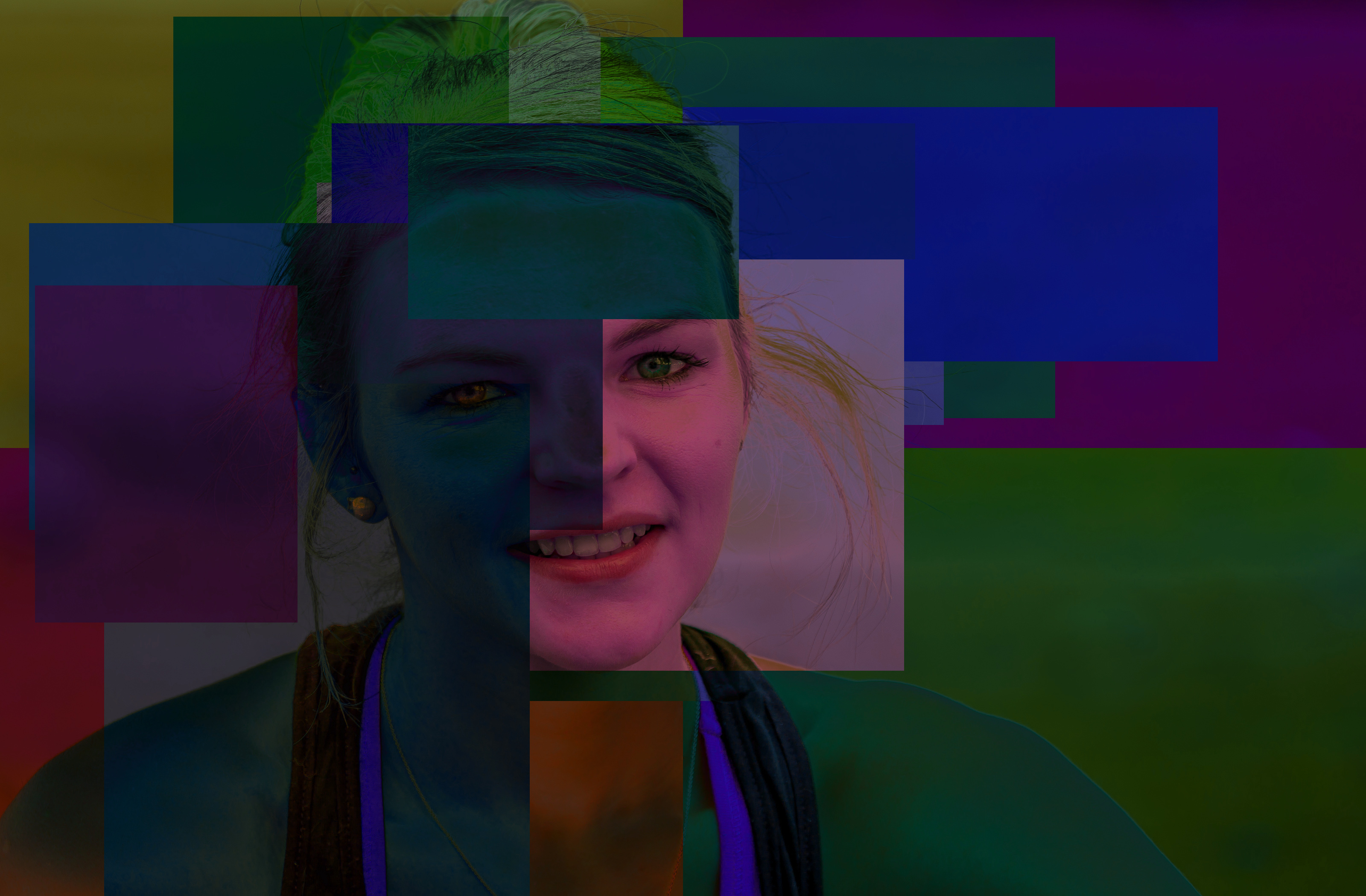 linique_by_adrienmcguire-d8g4hak, as a simple patchwork of colourized areas_variant.jpg