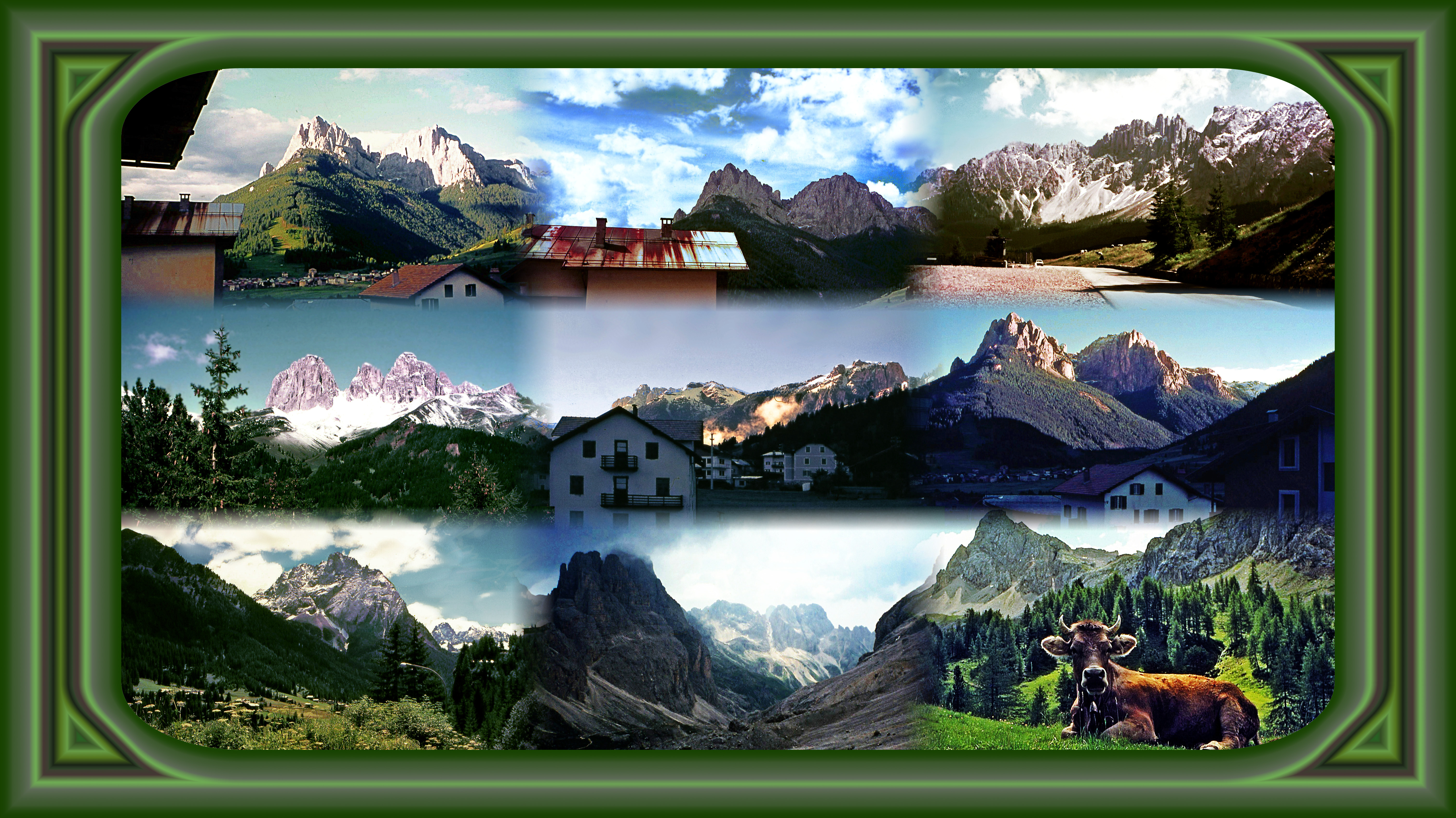 Collage.jpg