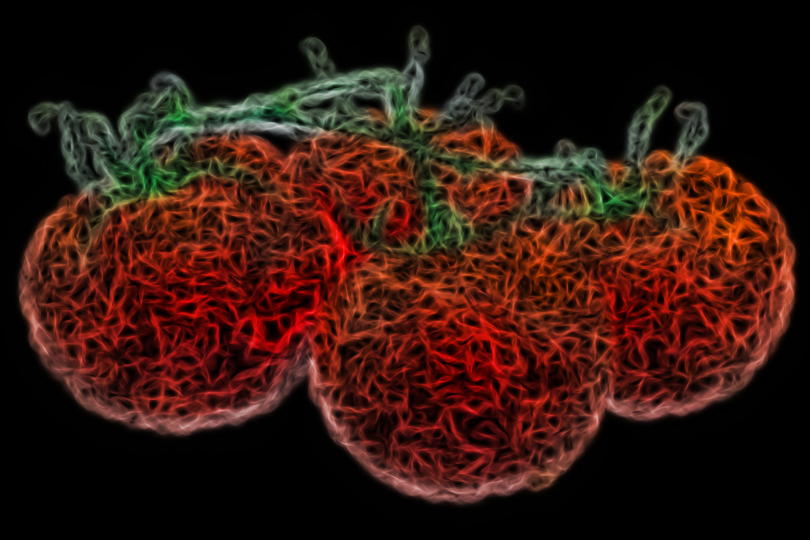 Tomato_03.jpg