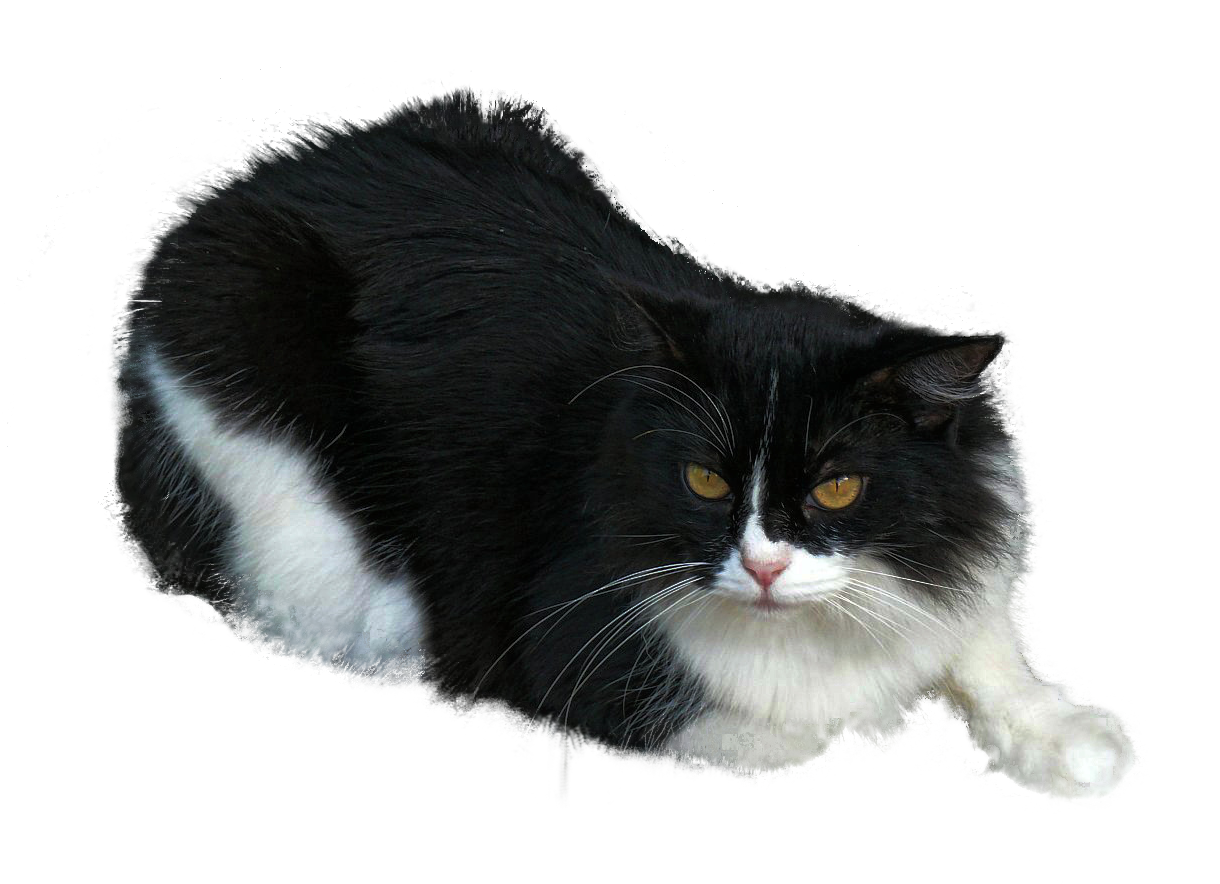 L1000005_edt.png