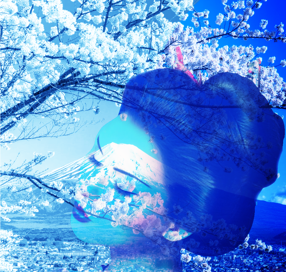 geisha2_dblexp.png