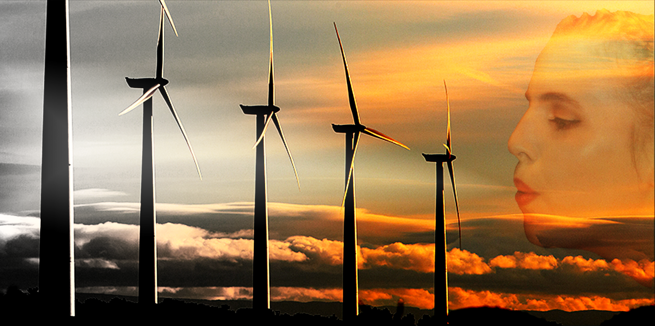 wind_farm_dblexp.png