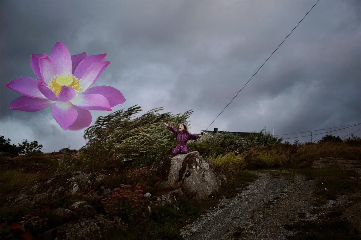 01-sorburoy-island-norway.adapt.1190.1-and-a-lotus.jpg