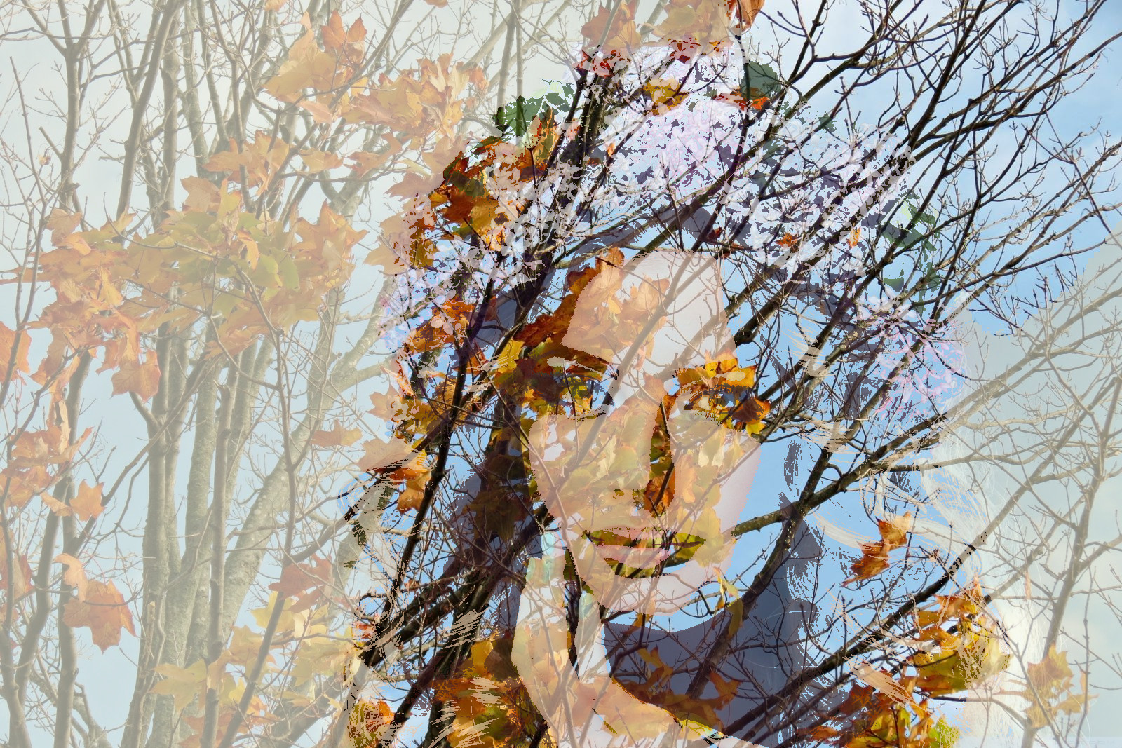 girl_with_flowers_DoubleExposureEffect.jpg