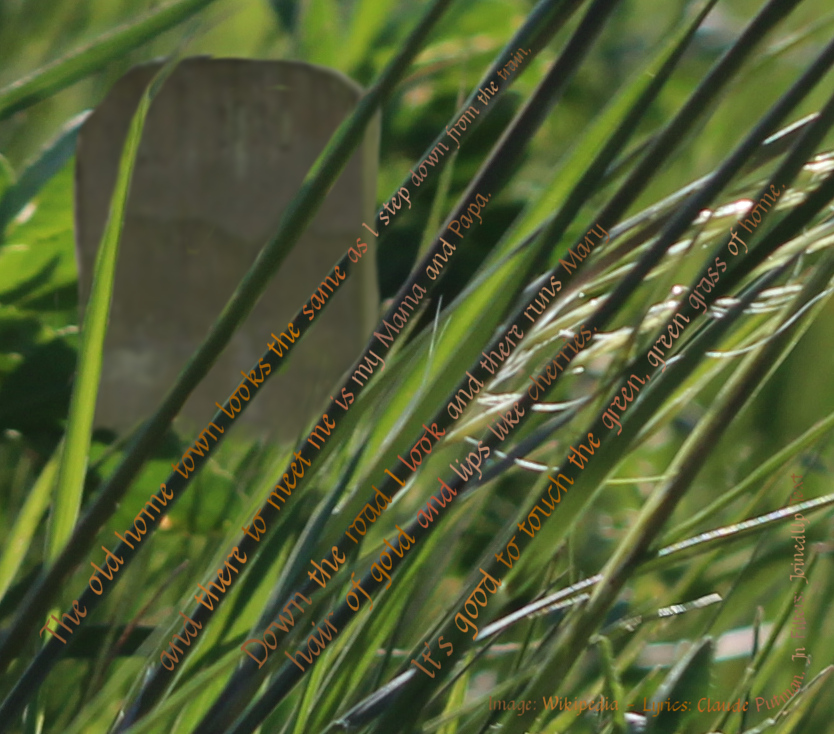 GreenGreenGrass.jpg