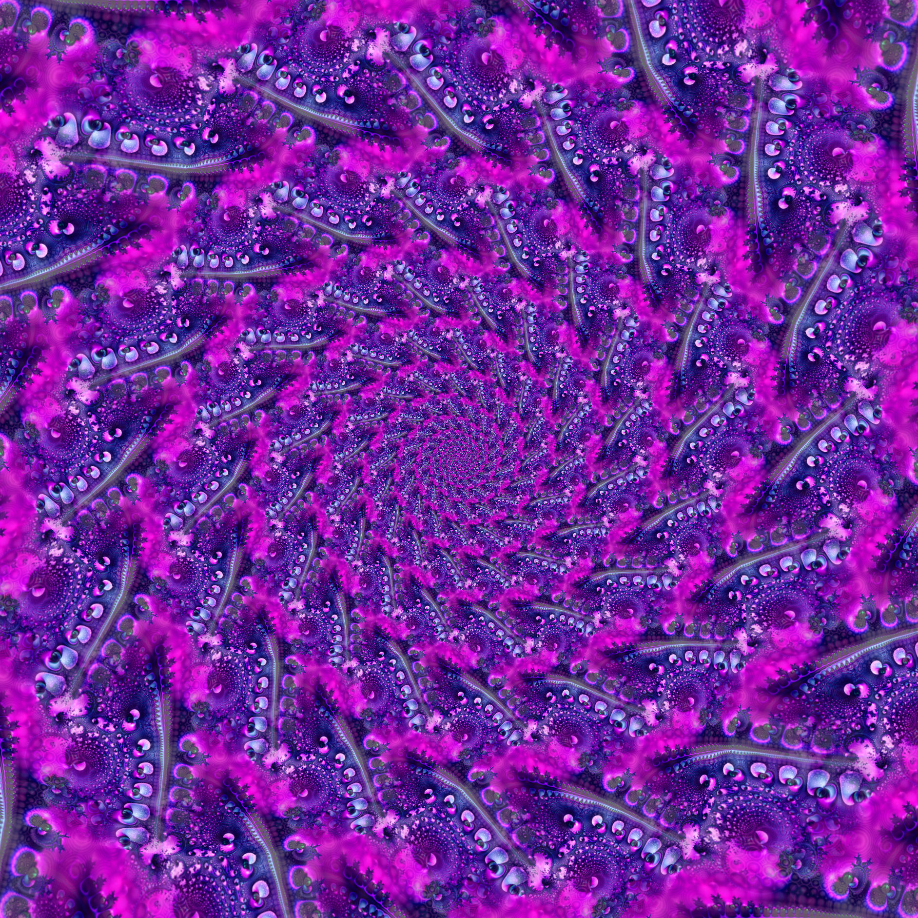 fractalpattern001drost.jpg