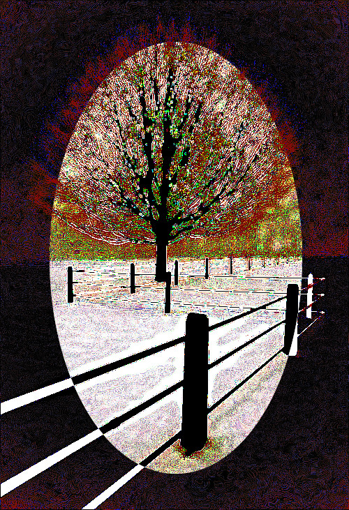 3e78f7d4_DN_CrazyColouring_Gimp299_VI.jpg