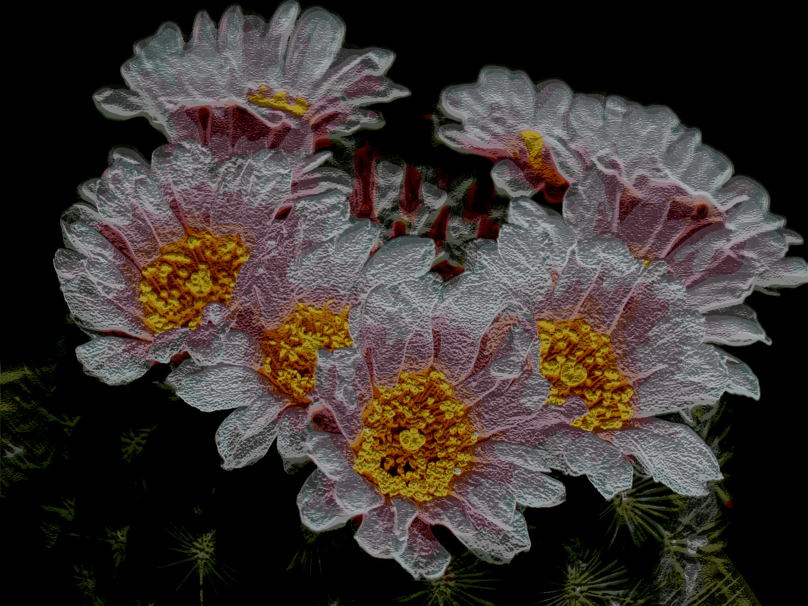 cactus-144_DN_EasyPaintLook_B_Gimp299.jpg