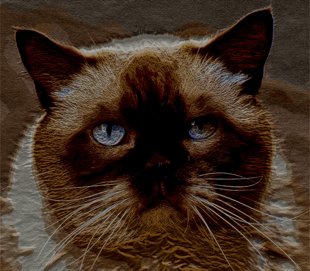 british-shorthair-3055340_DN_EasyPaintLookB_Gimp299.jpg