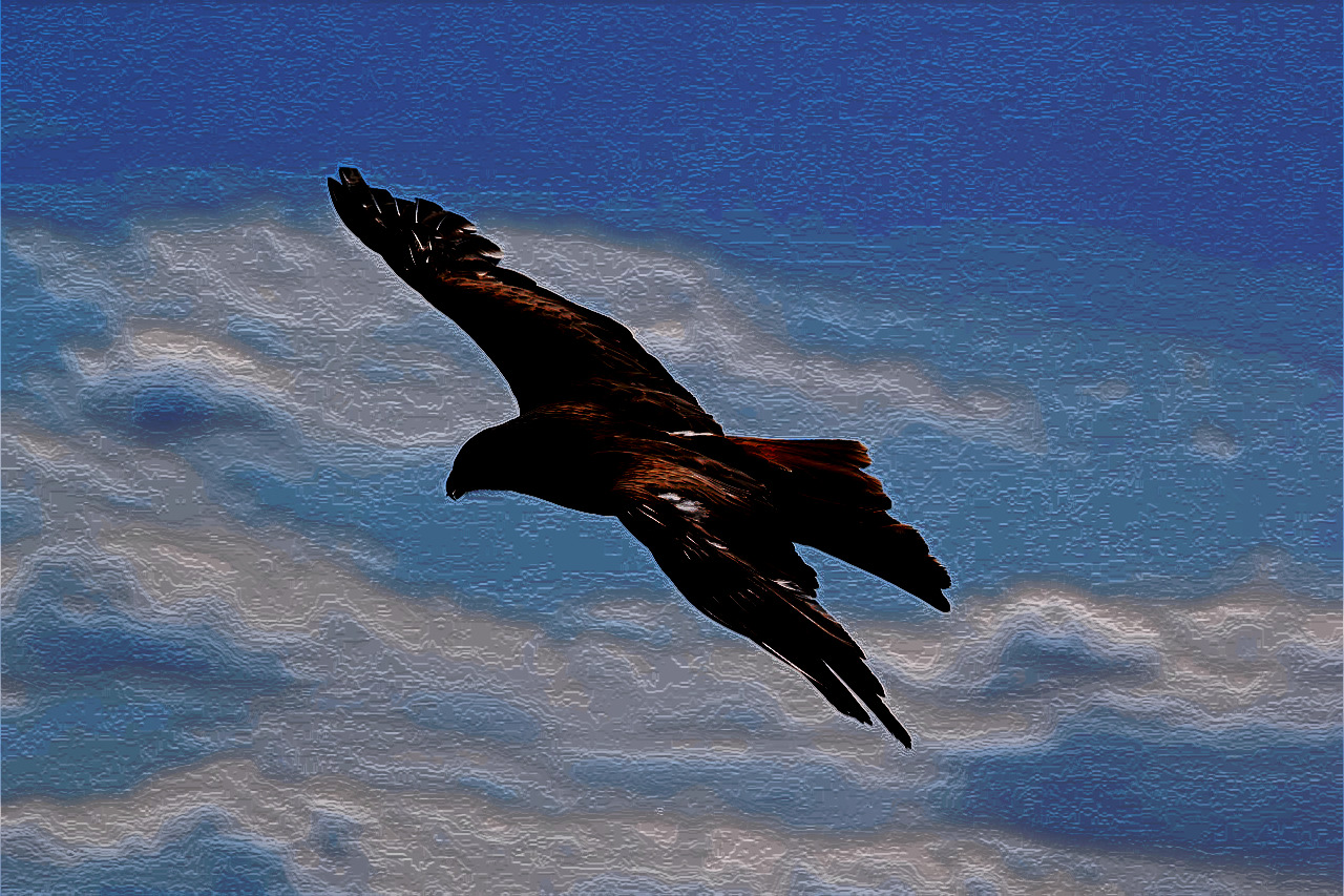 birds-217591_DN_EasyPaintLookB_Gimp299.jpg