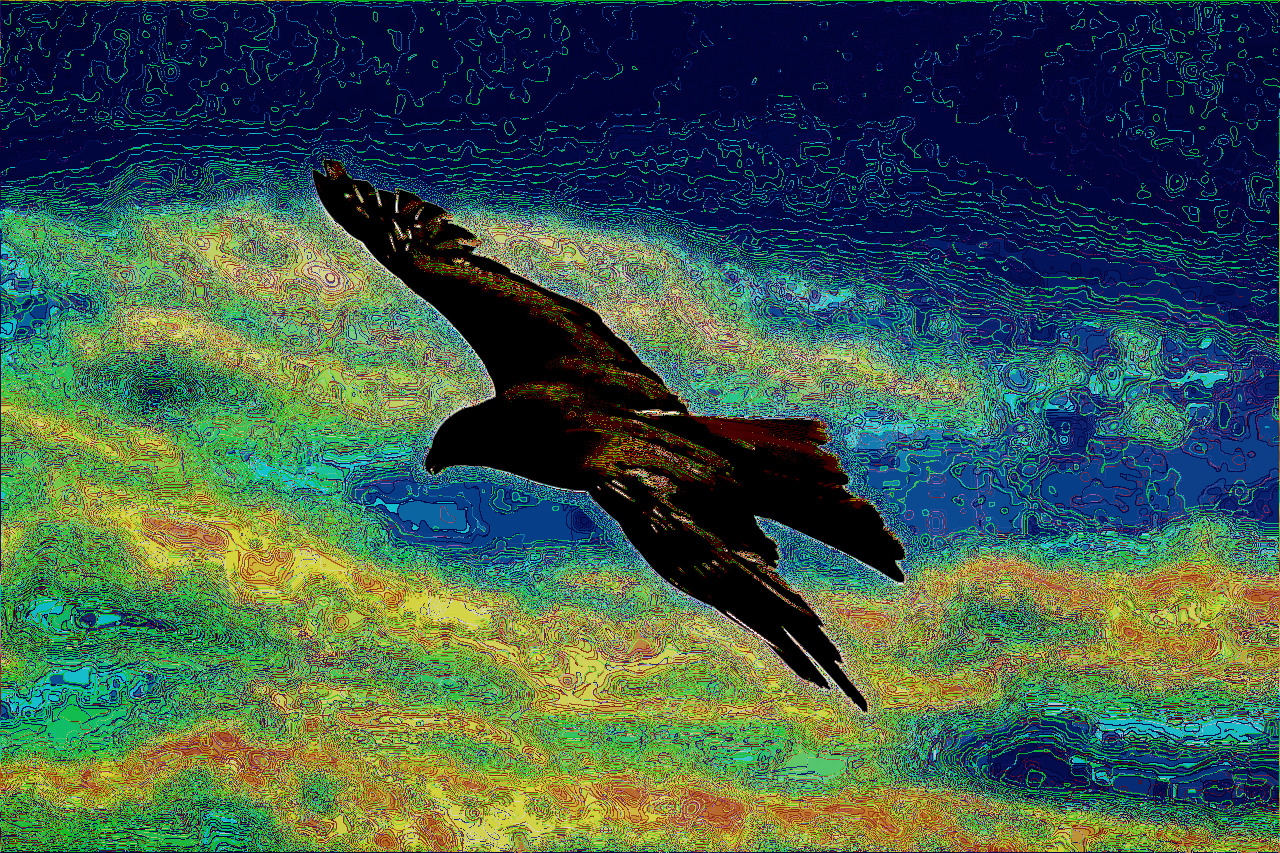 birds-217591_DN_CrazyColouring_Gimp299.jpg