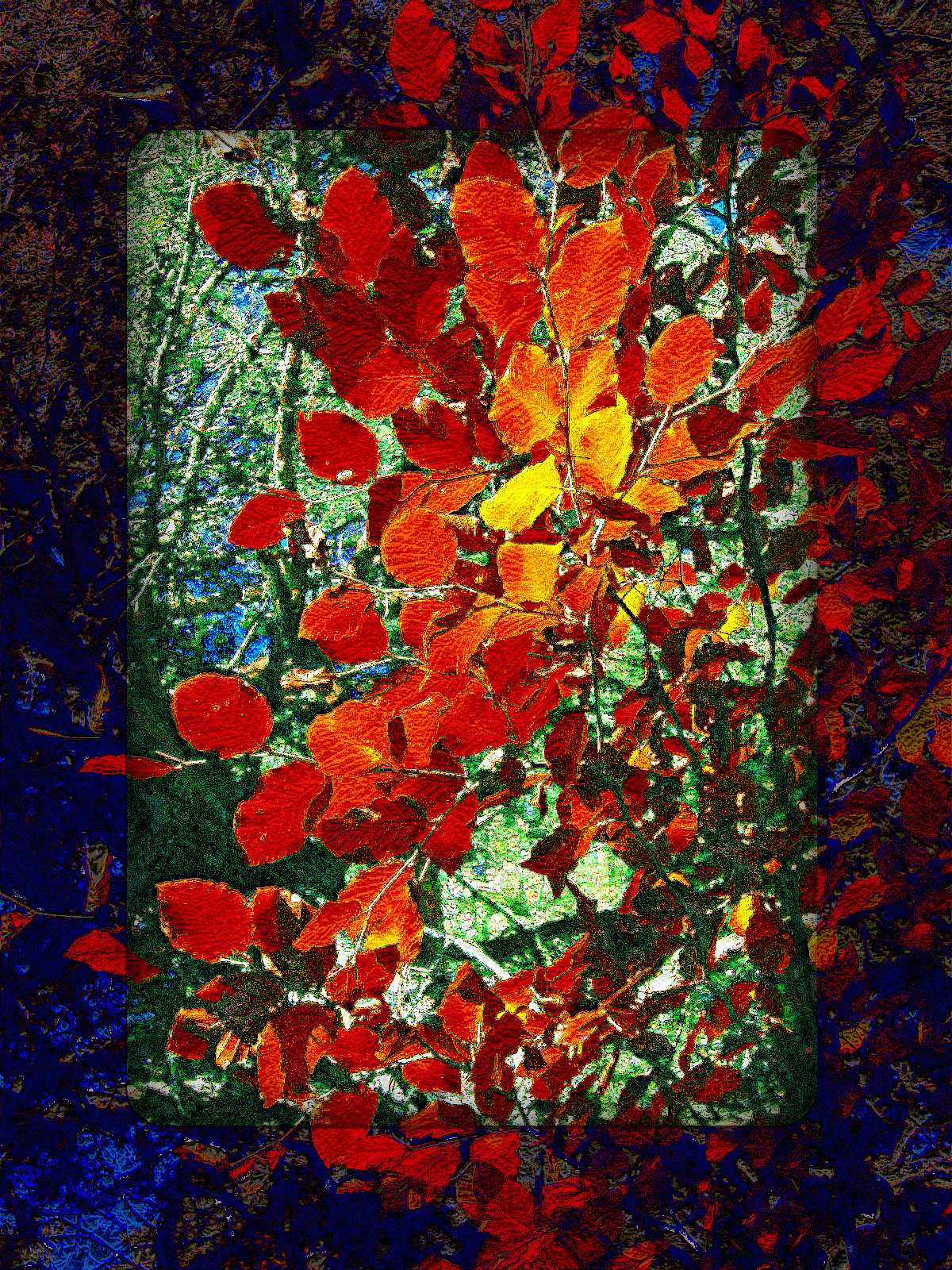IMG_3266_DN_EasyPaintLook_A_B_Gimp299_Issa.JPG