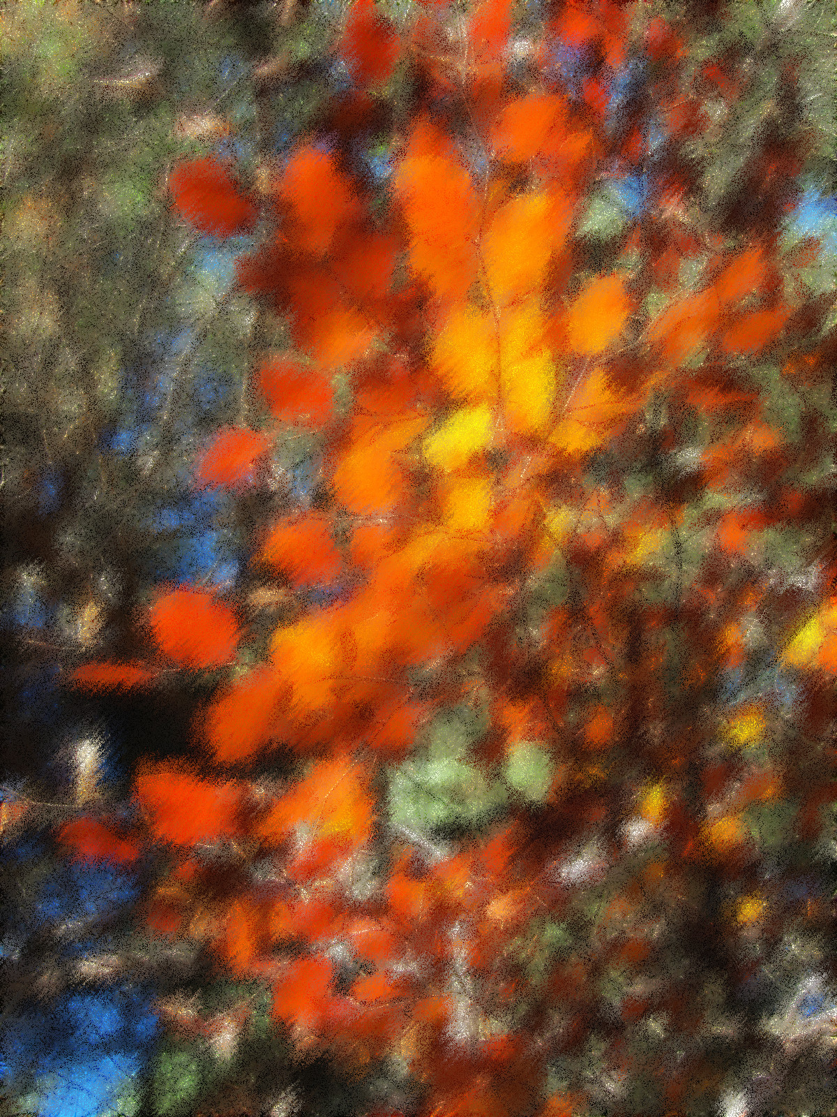 IMG_3266_DN_EasyPaintLook_A_Gimp299_Issa.JPG