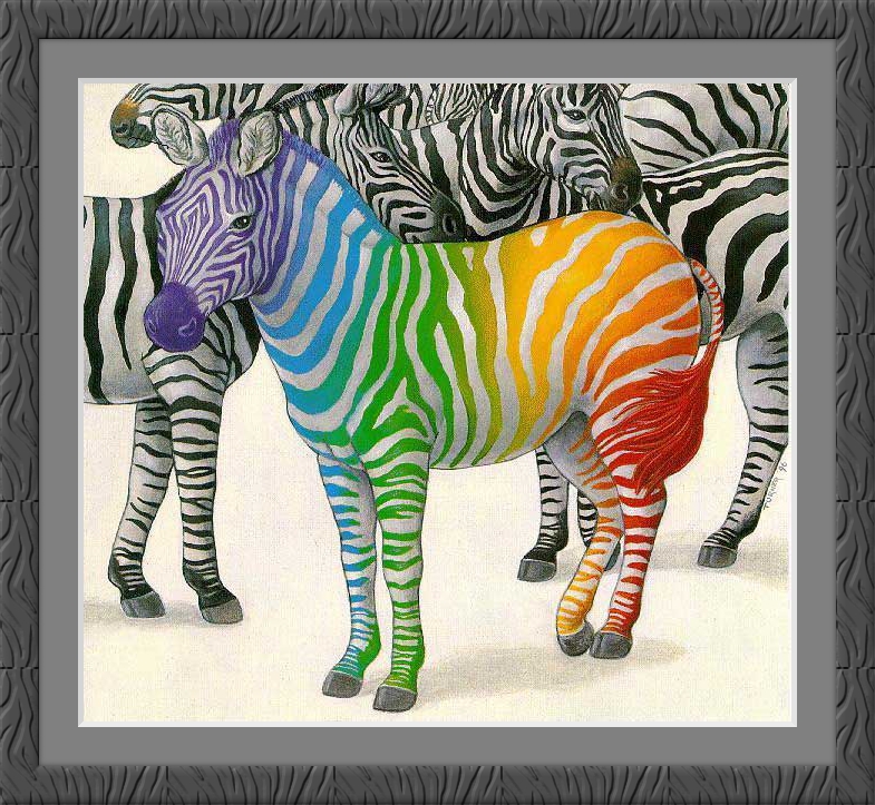 framed zebra.jpg