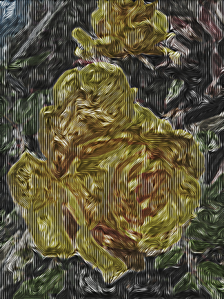 Lylejk_Ribbon flower.jpg