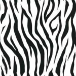zebra_1.png