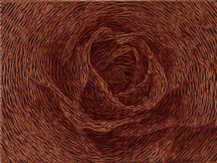 Lyle_Wicker Rose Attempt.jpg