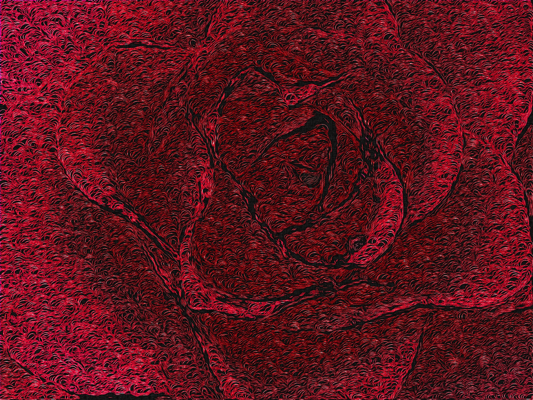 loops.jpg