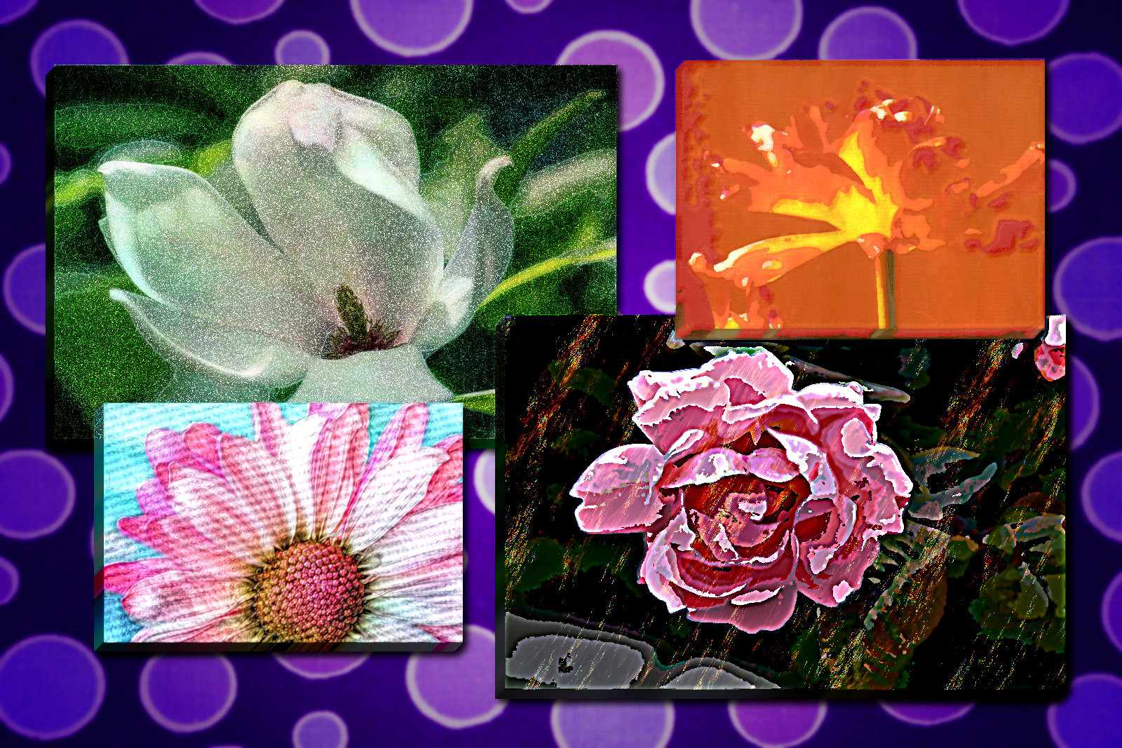 A card for you_DN_Picture in Picture_5_Effects.JPG
