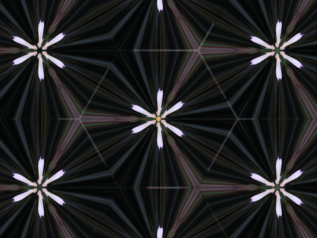 Tin Tran_Kaleidoscope.Rose 1.jpg