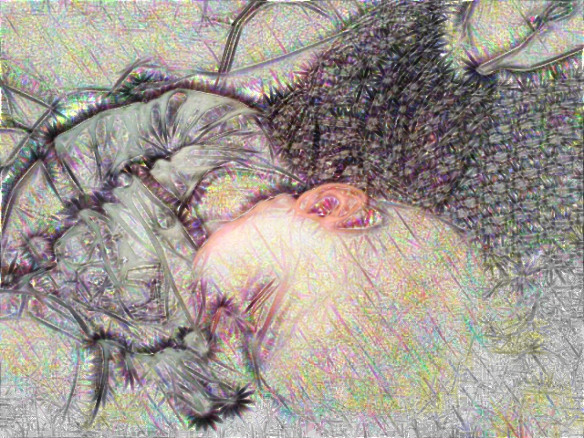 pic 2.jpg