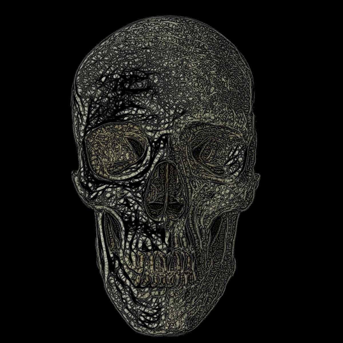 skull_rof.jpg