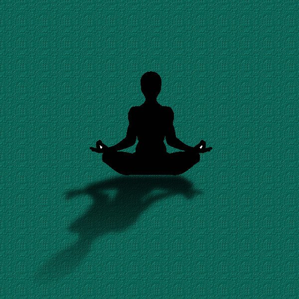 yoga-mod, with a shadow having an an angle of 225.0_ with blur for distance.jpg