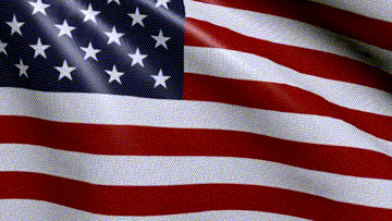 Flag.gif