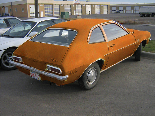 rusty-pinto.jpg